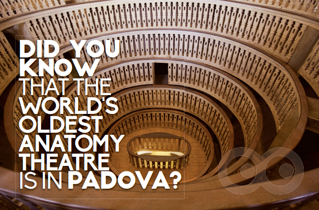 teatro anatomico.png