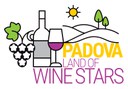 Land of Wine Stars 🌟 | 🍷Primo evento di degustazione 🍇   (Padova, 3-4 novembre 2018) 