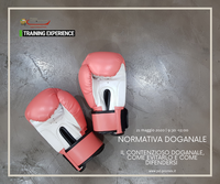 T.E.w. Normativa doganale | Il contenzioso doganale come evitarlo e come difendersi (21.05.20)