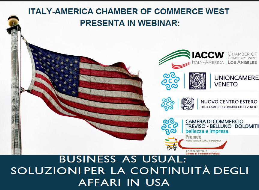 Webinair "Business As Usual: Soluzioni per la continuità degli affari in USA" | Mercoledì 25 marzo 2020 - ore 17:00