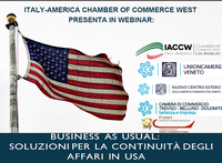 Webinair "Business As Usual: Soluzioni per la continuità degli affari in USA" | Mercoledì 25 marzo 2020 - ore 17:00
